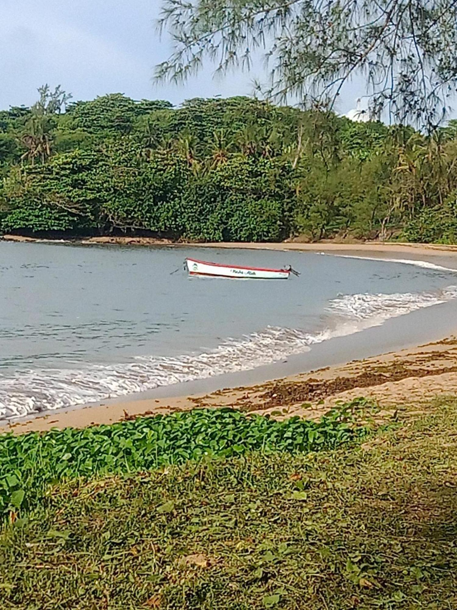 Residence Des Cascades Surinam 外观 照片