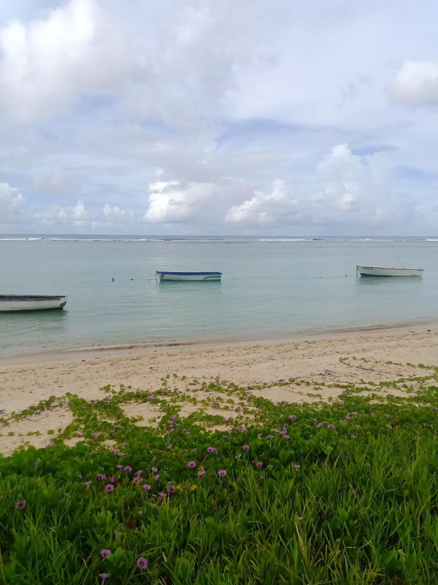 Residence Des Cascades Surinam 外观 照片